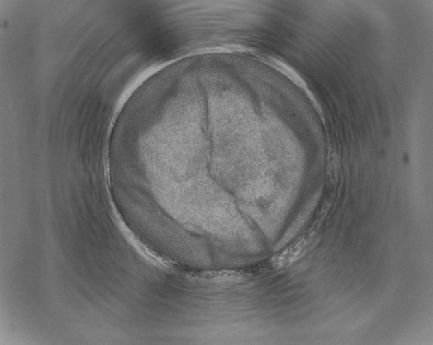 X0000067840811200605111641