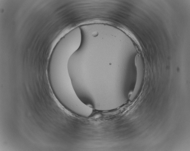 X0000067840813200605111641