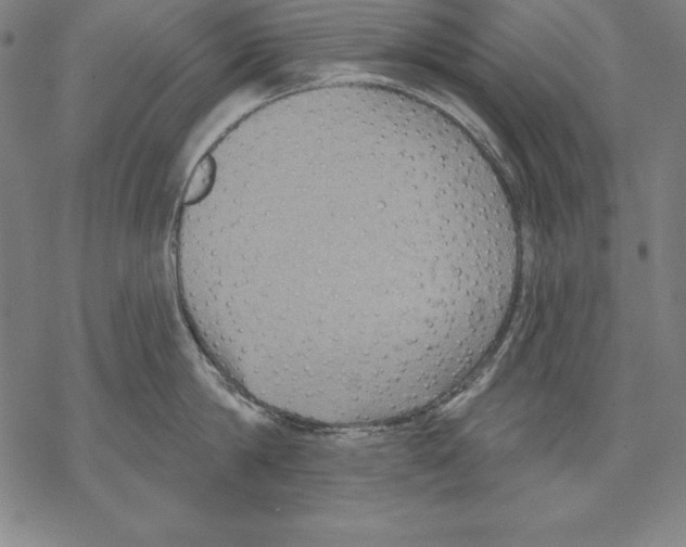 X0000067840814200605111641