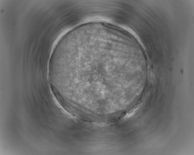 X0000067840815200605111641