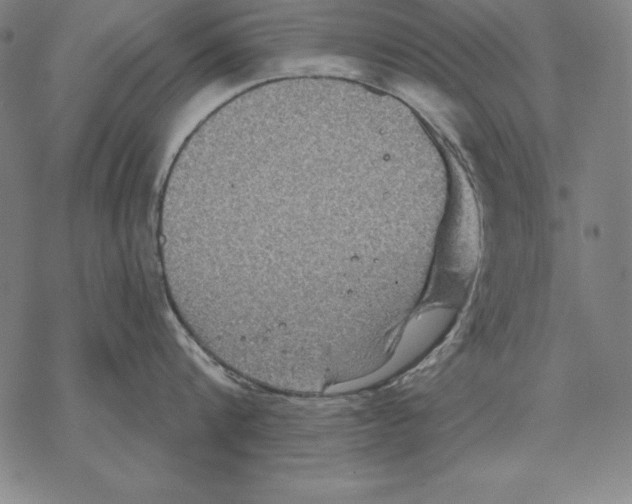 X0000067840816200605111641