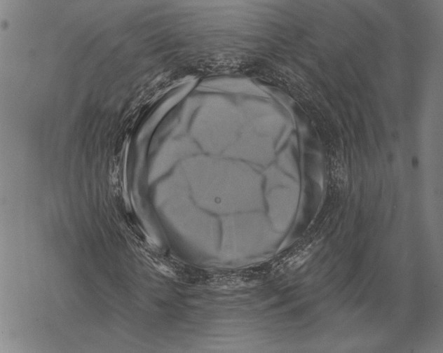 X0000067840818200605111640