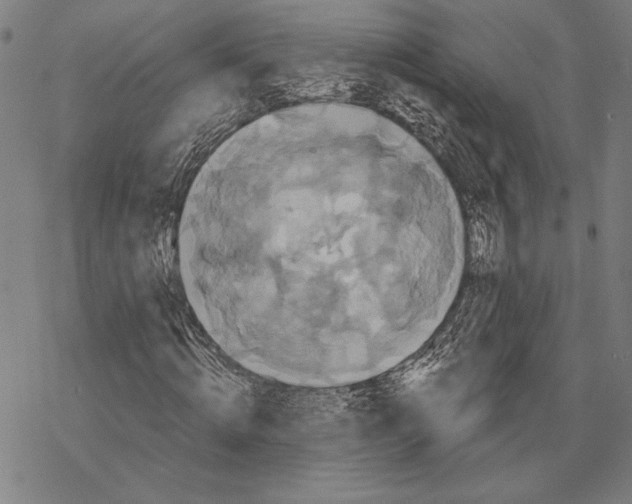 X0000067840820200605111640