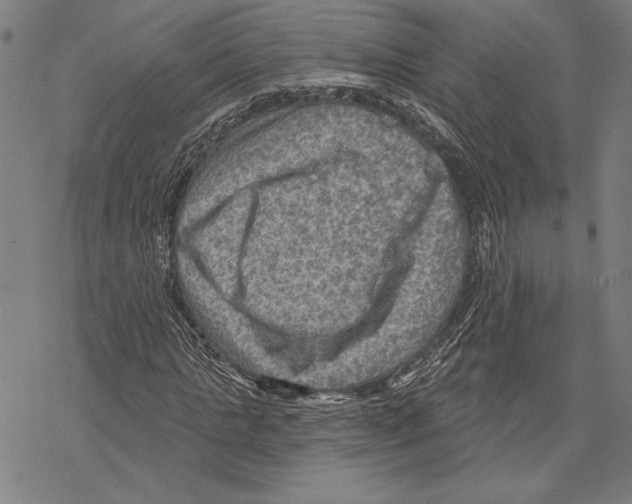 X0000067840821200605111640