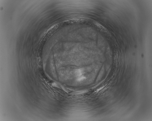 X0000067840822200605111640