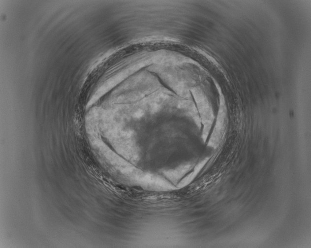 X0000067840823200605111640