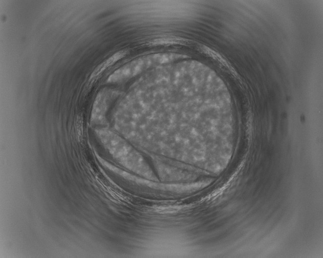 X0000067840825200605111640