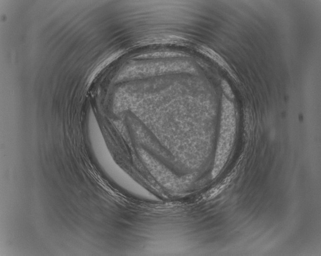 X0000067840826200605111640