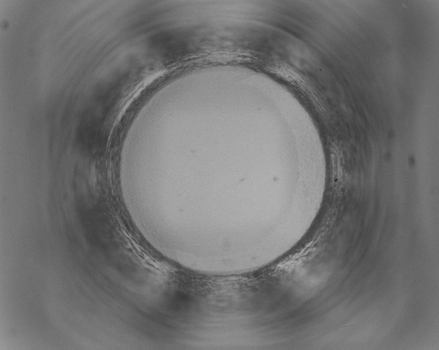 X0000067840828200605111640