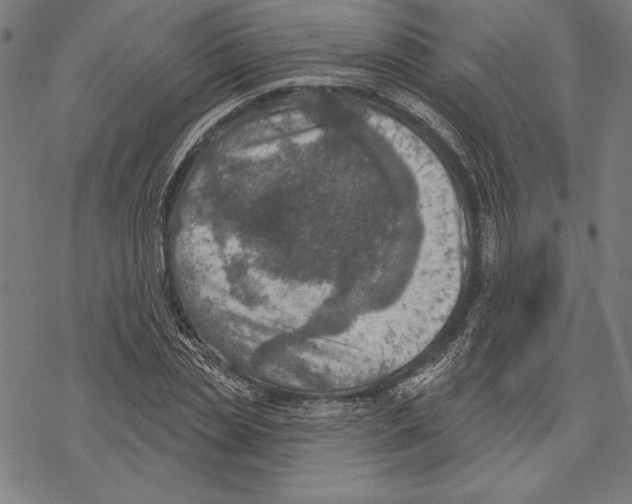 X0000067840829200605111640