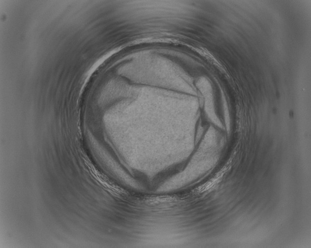 X0000067840830200605111640