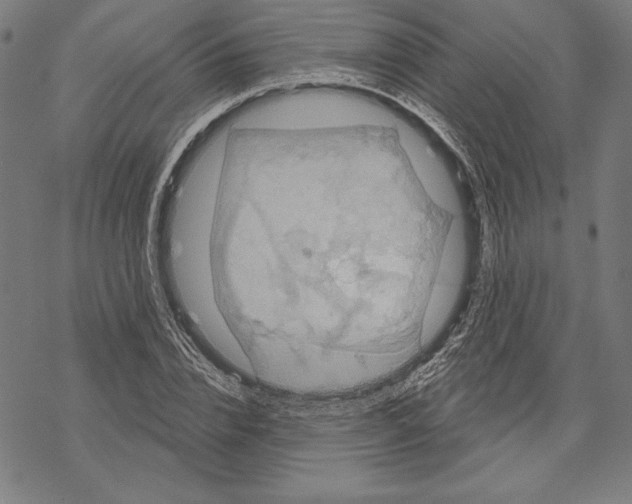 X0000067840832200605111640