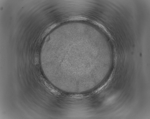 X0000067840833200605111640