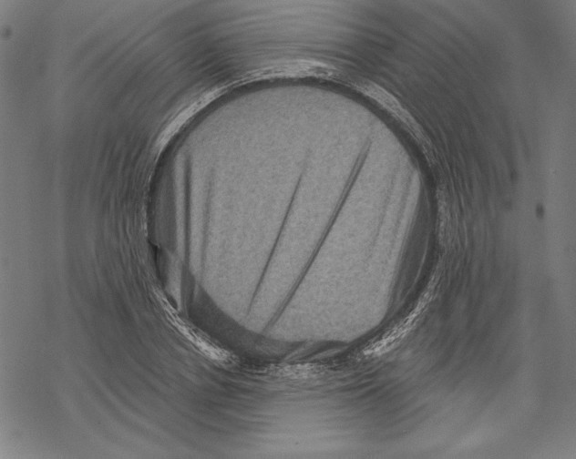 X0000067840834200605111640