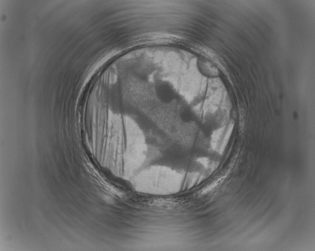 X0000067840835200605111640