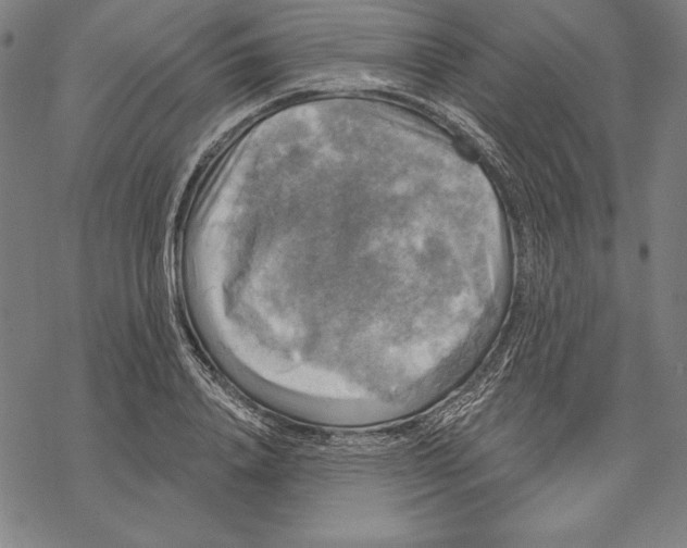 X0000067840840200605111640