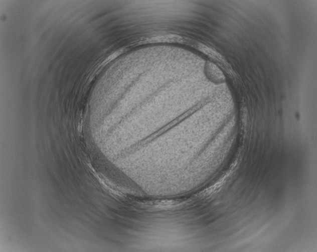 X0000067840841200605111640