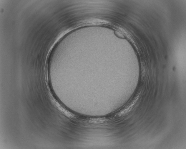 X0000067840843200605111640