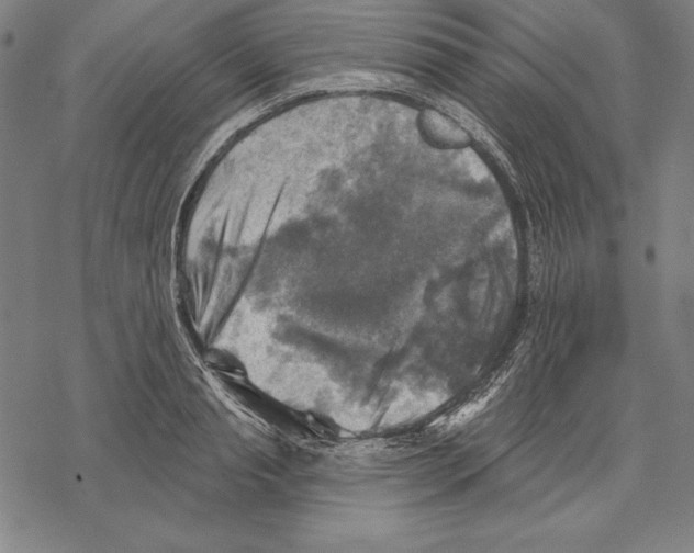 X0000067840845200605111640