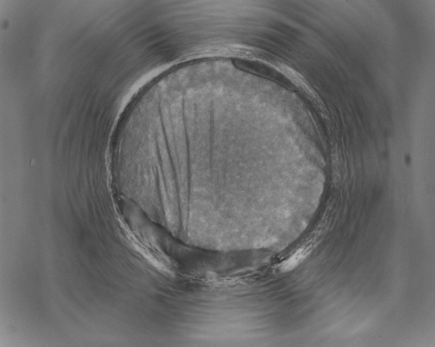 X0000067840846200605111640