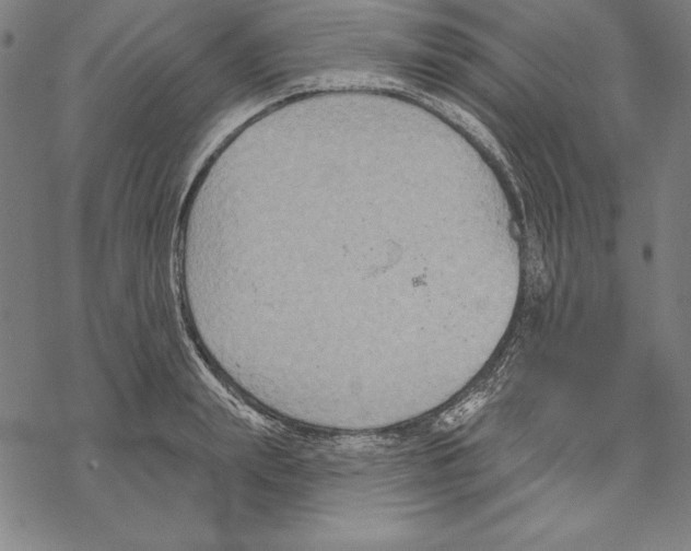 X0000067840847200605111640