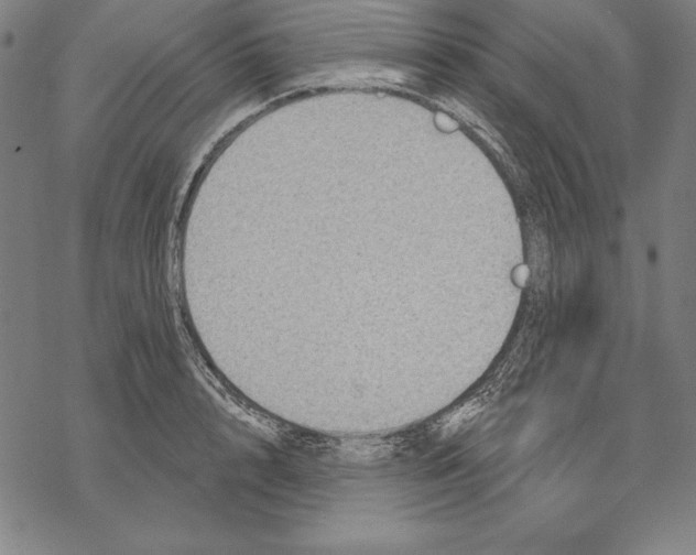 X0000067840848200605111640