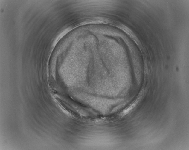 X0000067840858200605111641