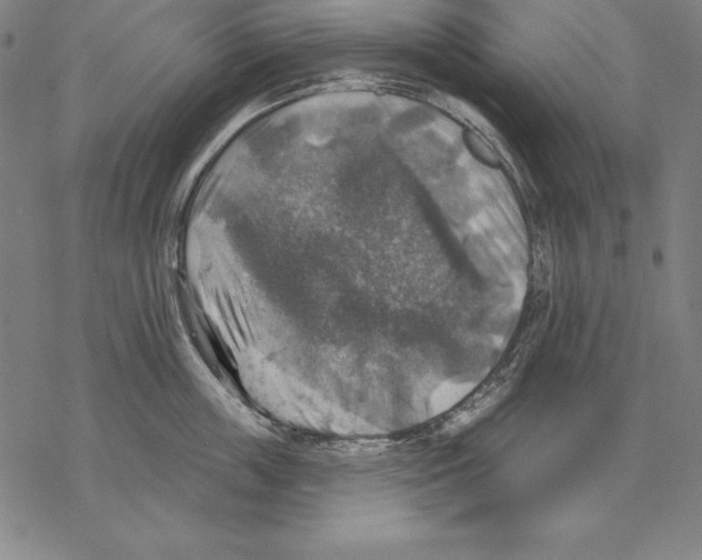 X0000067840859200605111641