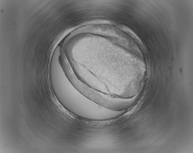 X0000067840860200605111641