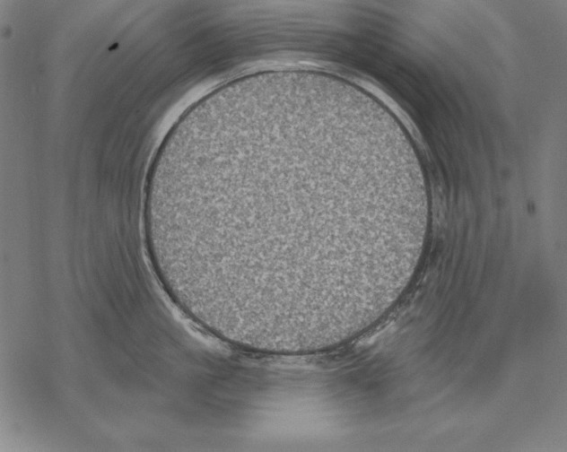 X0000067840861200605111641