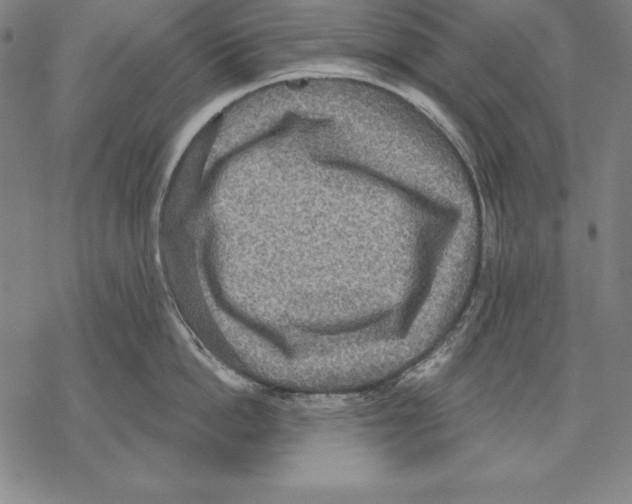 X0000067840862200605111641