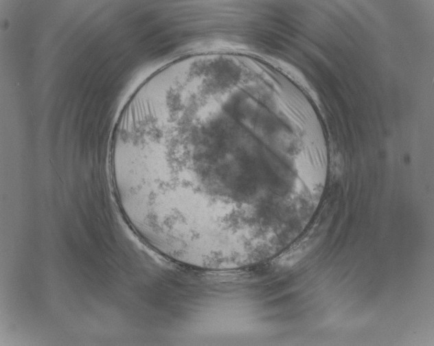 X0000067840863200605111641