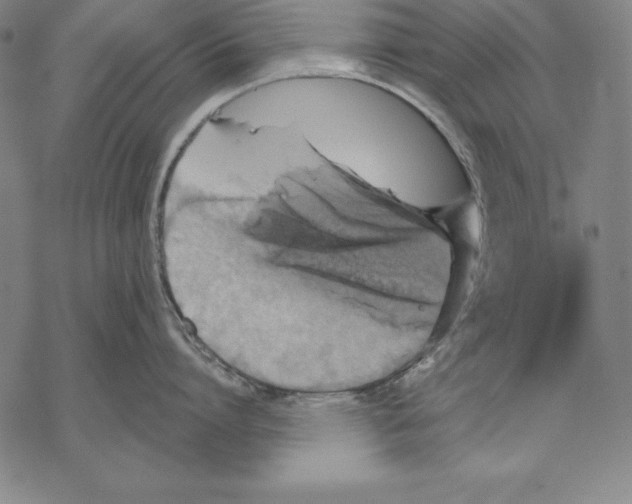 X0000067840864200605111641