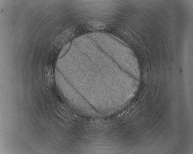 X0000067840866200605111640