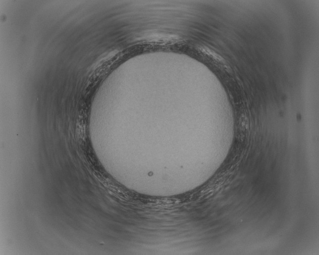 X0000067840869200605111640