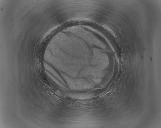 X0000067840872200605111640