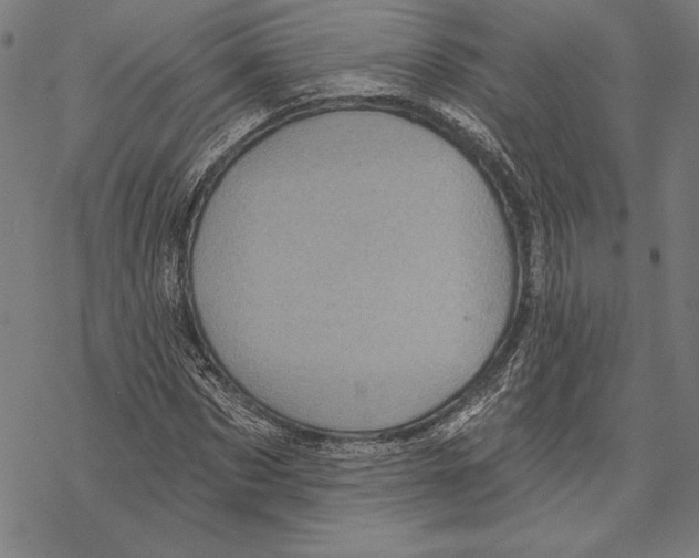 X0000067840873200605111640