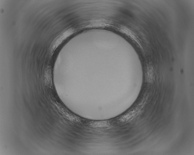 X0000067840874200605111640