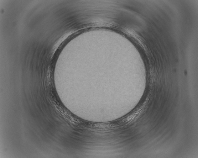 X0000067840875200605111640