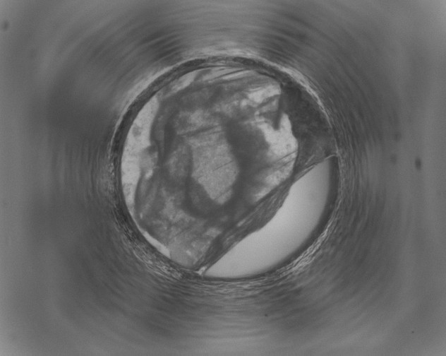 X0000067840879200605111640