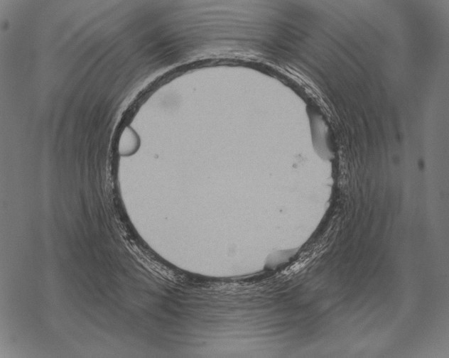 X0000067840880200605111640