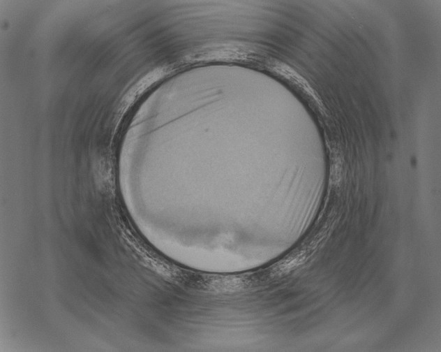 X0000067840882200605111640