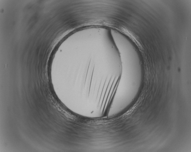 X0000067840884200605111640