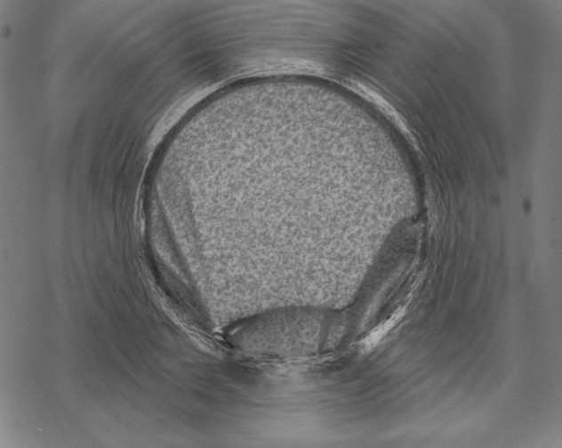 X0000067840885200605111640