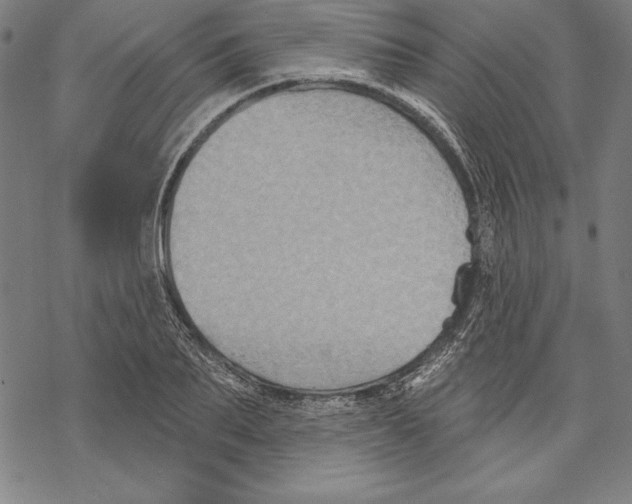 X0000067840887200605111639