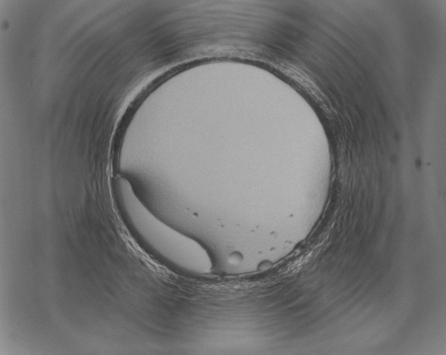 X0000067840888200605111639