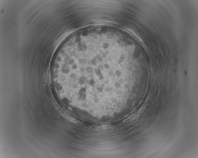 X0000067840891200605111639