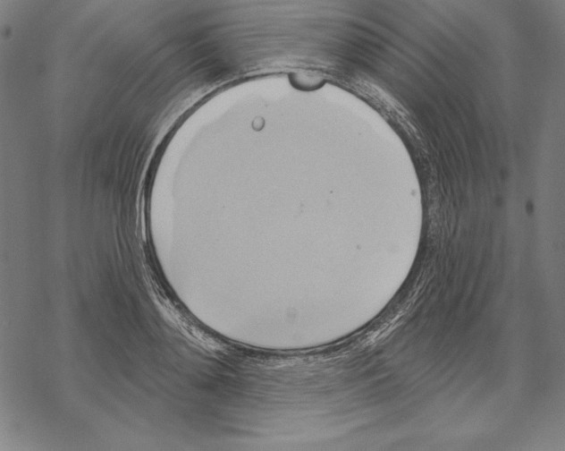 X0000067840892200605111639