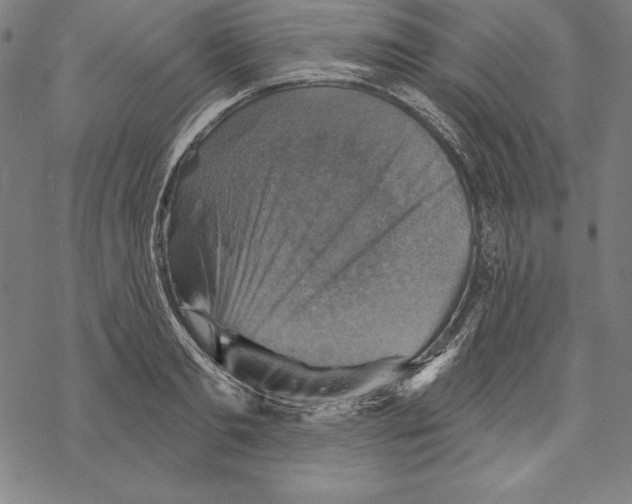 X0000067840893200605111639