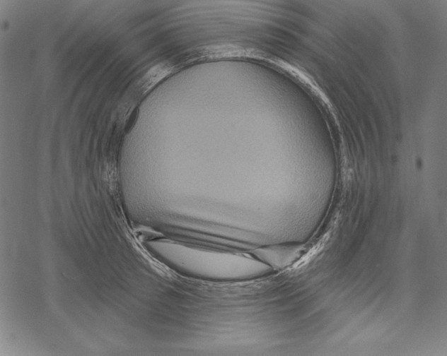 X0000067840897200605111639